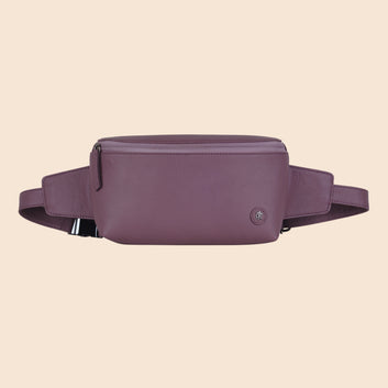 Roamer  : The Fanny Pack
